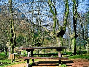 Imagen de una de las áreas recreativas de Bizkaia. FOTO: Archivo