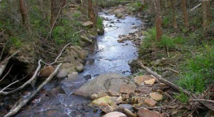 El arroyo Amunategi.FOTO: fundacion-biodiversidad.es.